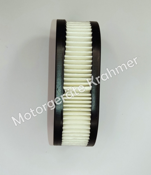 Luftfilter Briggs & Stratton